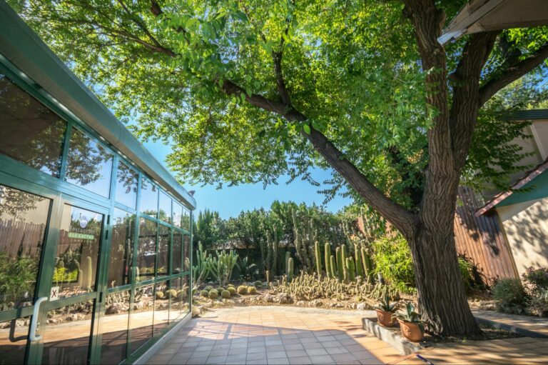 Camping La Pineda De Salou - Bild 10 Camping La Pineda De Salou - Bild 10