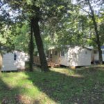 Camping La Pinède En Provence - Bild 3