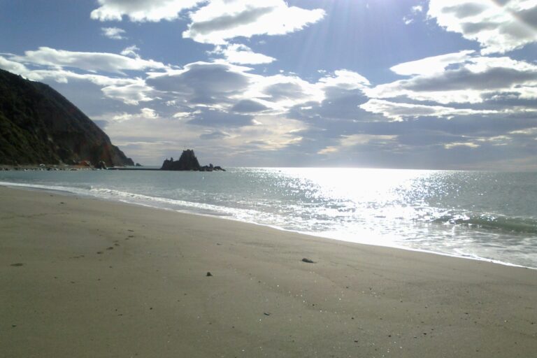 Camping La Pineta - Bild 2