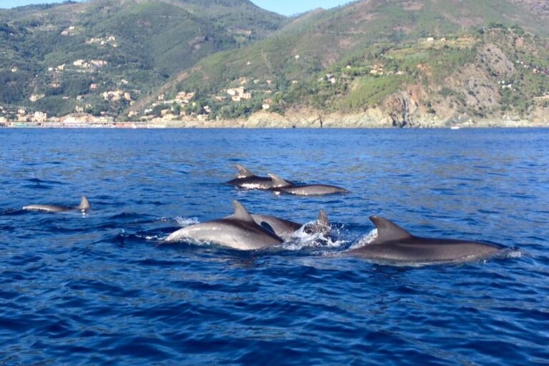 Camping La Pineta - Bild 3