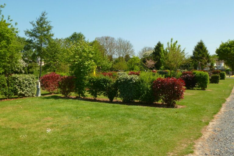 Camping La Roseraie D'omaha - Bild 5