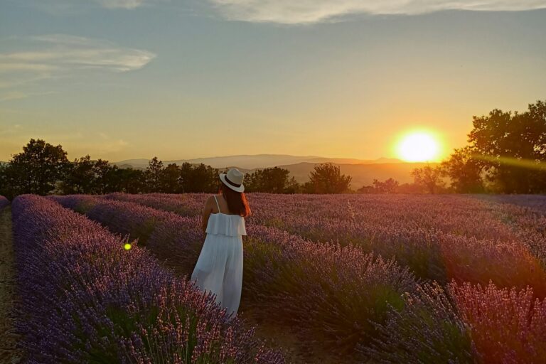 Camping La Rouvière Les Pins - Bild 13