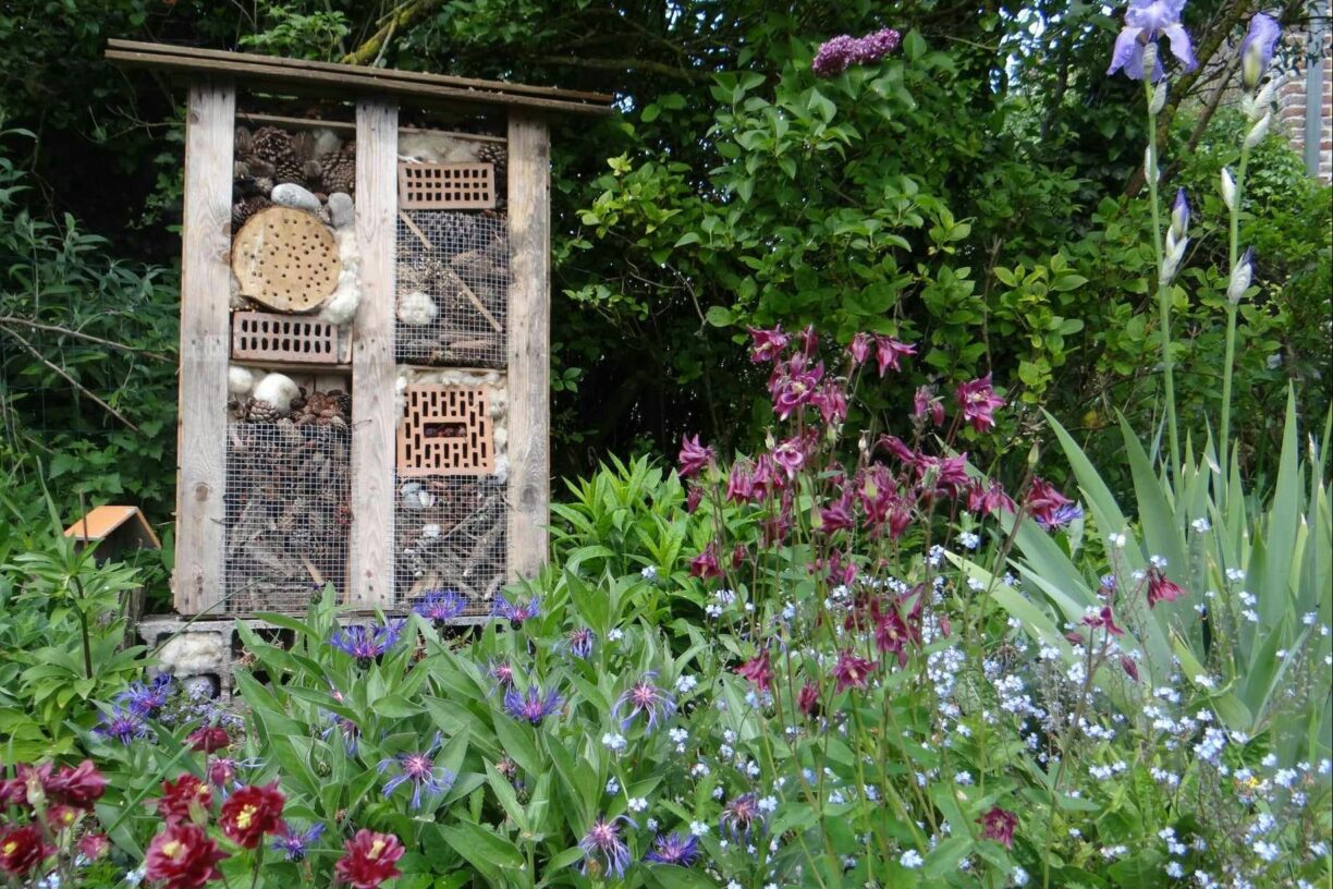 Camping La Safrière - Bild 16 Camping La Safrière - Bild 16