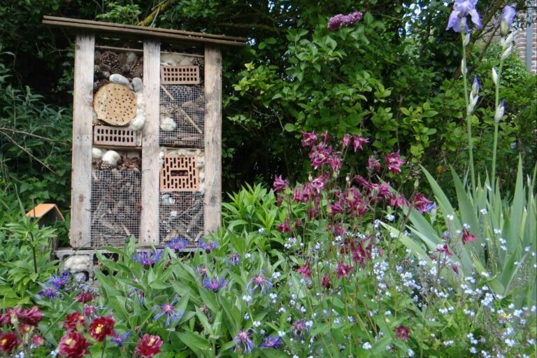 Camping La Safrière - Bild 16 Camping La Safrière - Bild 16