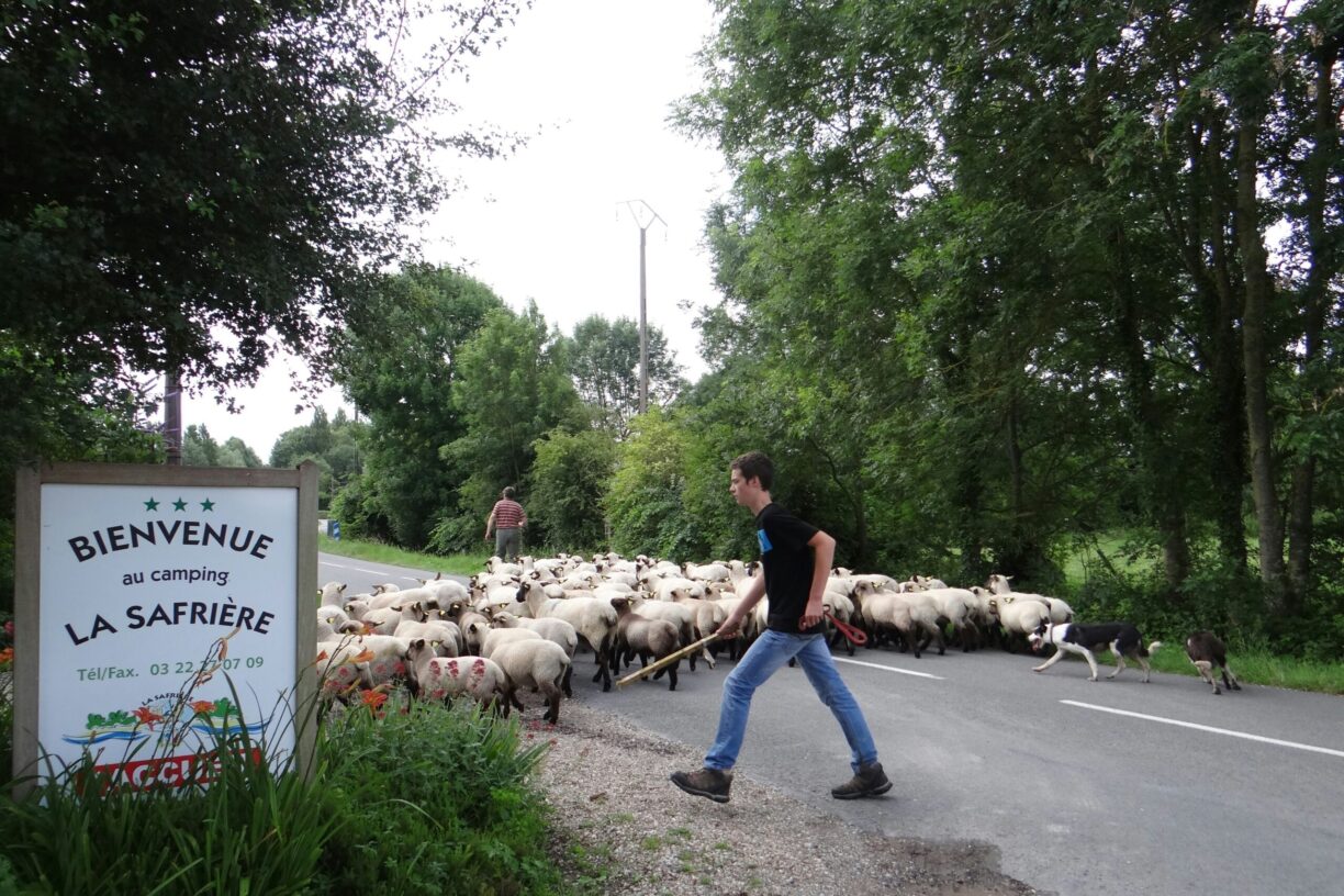 Camping La Safrière - Bild 7 Camping La Safrière - Bild 7