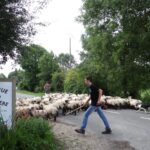 Camping La Safrière - Bild 7 Camping La Safrière - Bild 7