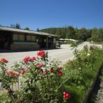 Camping La Serre - Bild 7