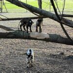 Camping La Vallée De L'indre - Bild 12 Camping La Vallée De L'indre - Bild 12