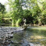 Camping La Vaugelette - Bild 9