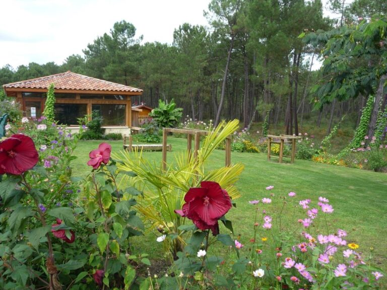 Camping Landes Oceanes - Bild 7