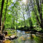 Camping L' Eau Rouge - Bild 11