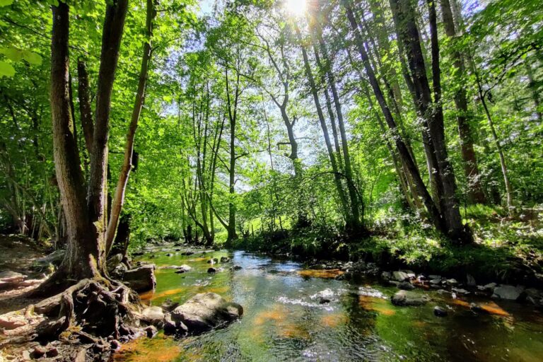 Camping L' Eau Rouge - Bild 11