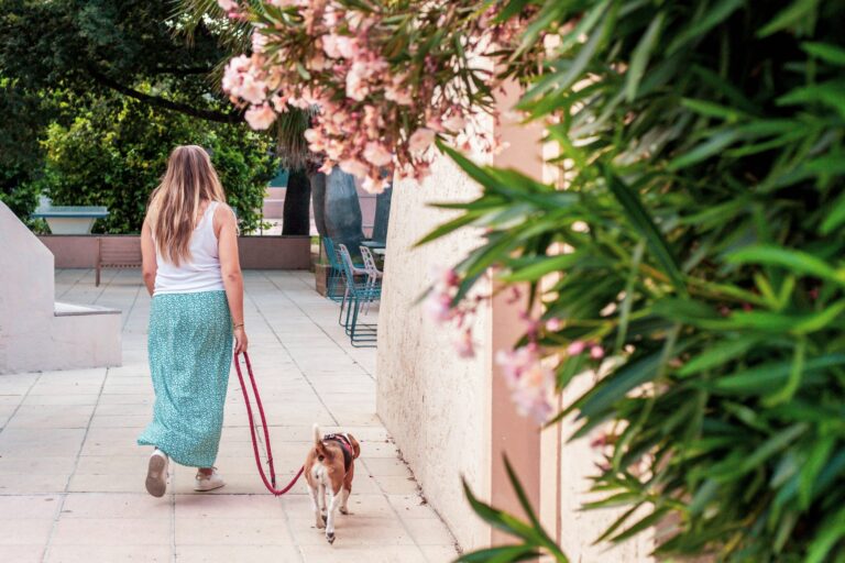 Camping L'argentière - Bild 17