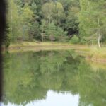 Camping L'étang Bleu - Bild 2