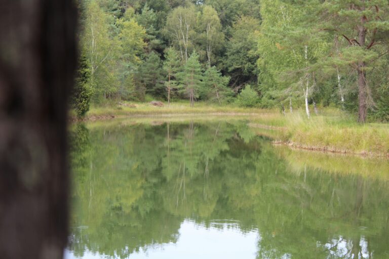 Camping L'étang Bleu - Bild 2