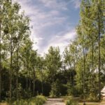 Camping L'heureux Hasard - Bild 6 Camping L'heureux Hasard - Bild 6