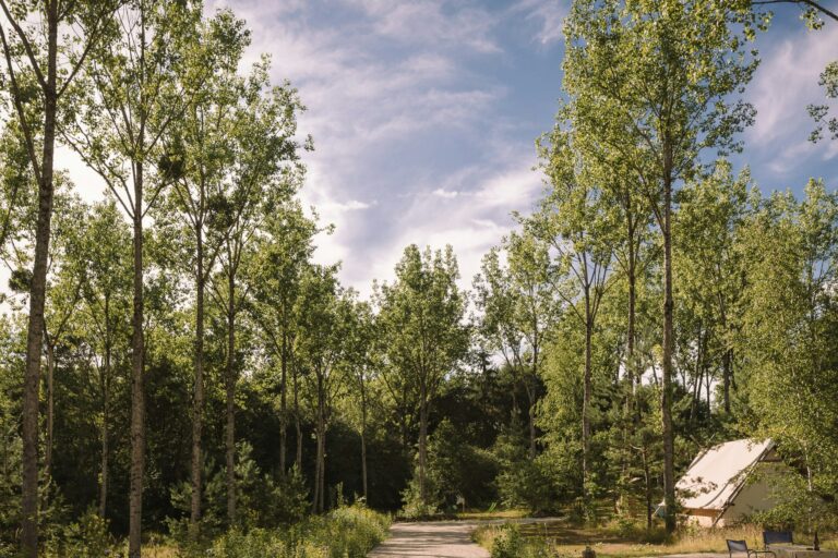 Camping L'heureux Hasard - Bild 6 Camping L'heureux Hasard - Bild 6