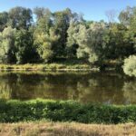 Camping L'ile Aux Mille Charmes - Bild 11