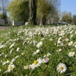 Camping L'ile D'amour - Bild 10 Camping L'ile D'amour - Bild 10