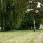 Camping L'ile D'amour - Bild 4 Camping L'ile D'amour - Bild 4