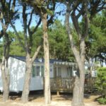 Camping L'océan - Bild 2 Camping L'océan - Bild 2