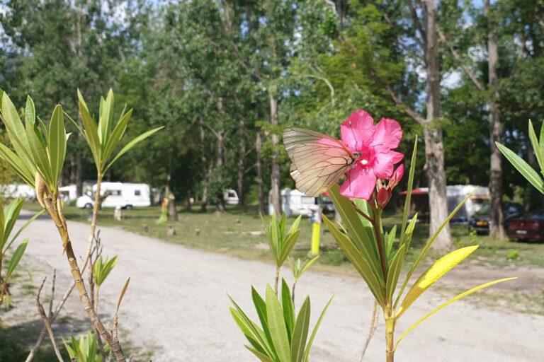 Camping L'or Bleu - Bild 2