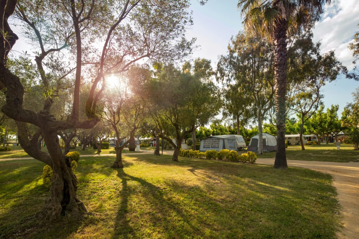 Camping Las Palmeras Costa Brava - Bild 10 Camping Las Palmeras Costa Brava - Bild 10