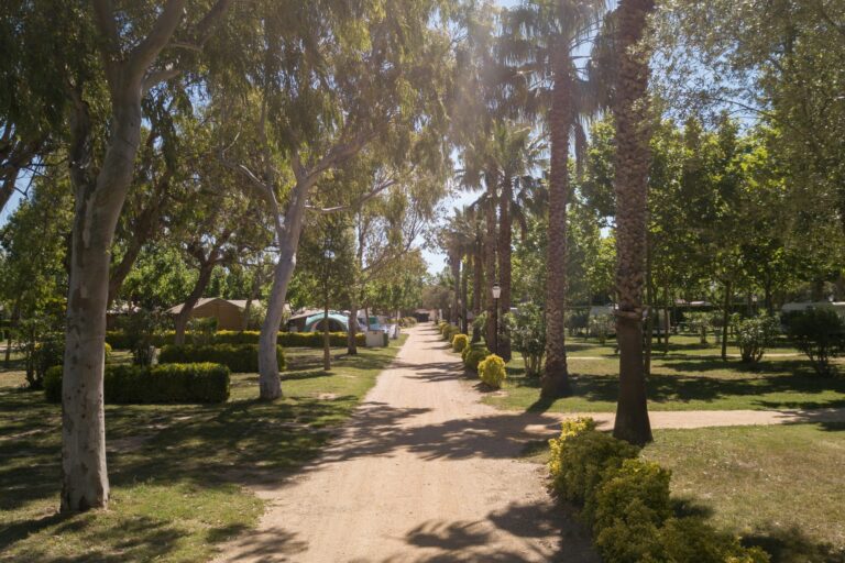 Camping Las Palmeras Costa Brava - Bild 12 Camping Las Palmeras Costa Brava - Bild 12