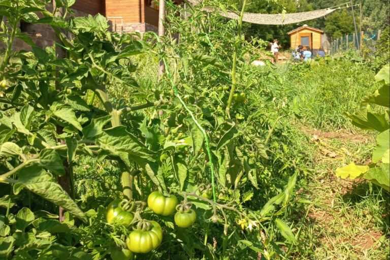 Camping Laspaúles - Bild 11 Camping Laspaúles - Bild 11