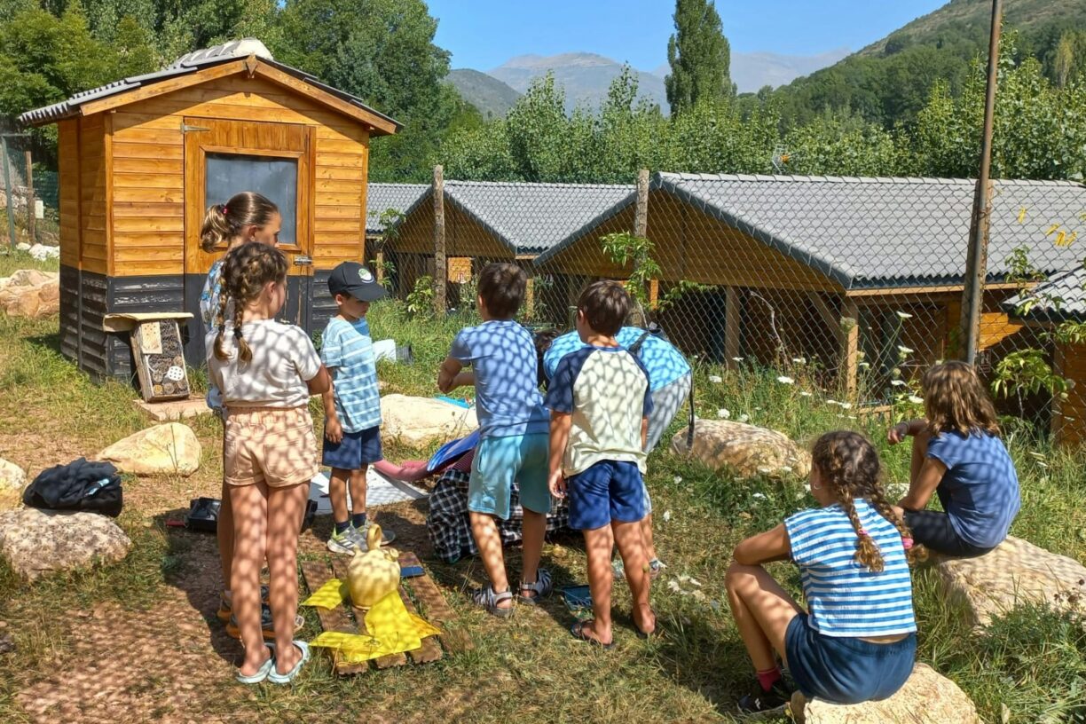 Camping Laspaúles - Bild 12 Camping Laspaúles - Bild 12