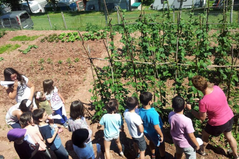 Camping Laspaúles - Bild 9 Camping Laspaúles - Bild 9