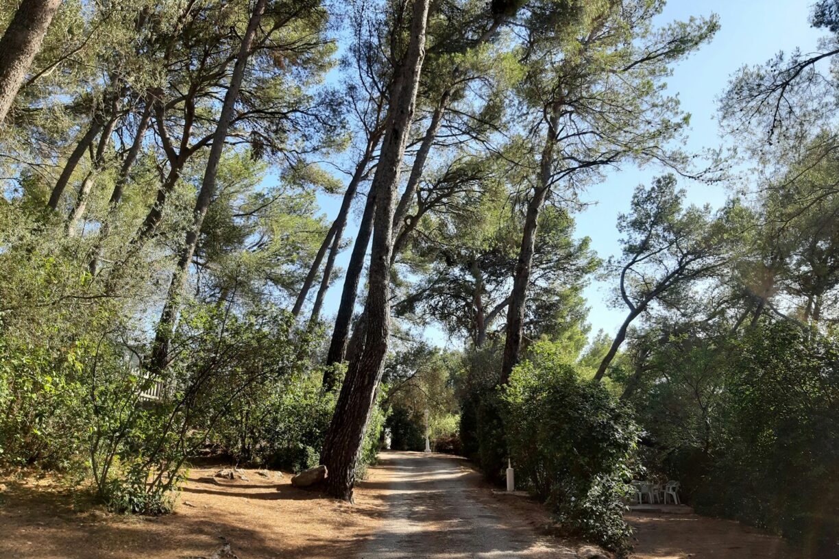 Camping Le Beau Vezé - Bild 12 Camping Le Beau Vezé - Bild 12