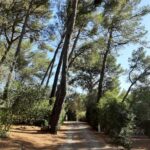 Camping Le Beau Vezé - Bild 12 Camping Le Beau Vezé - Bild 12