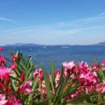 Camping Le Beau Vezé - Bild 13 Camping Le Beau Vezé - Bild 13