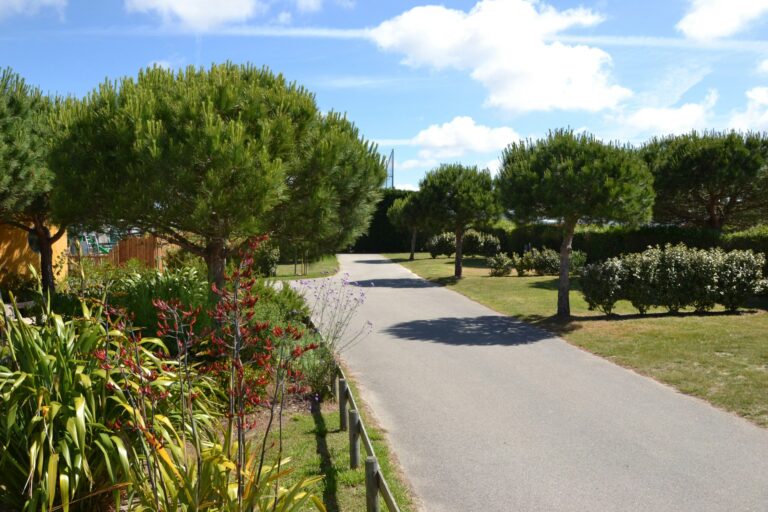 Camping Le Bel Air - Bild 8