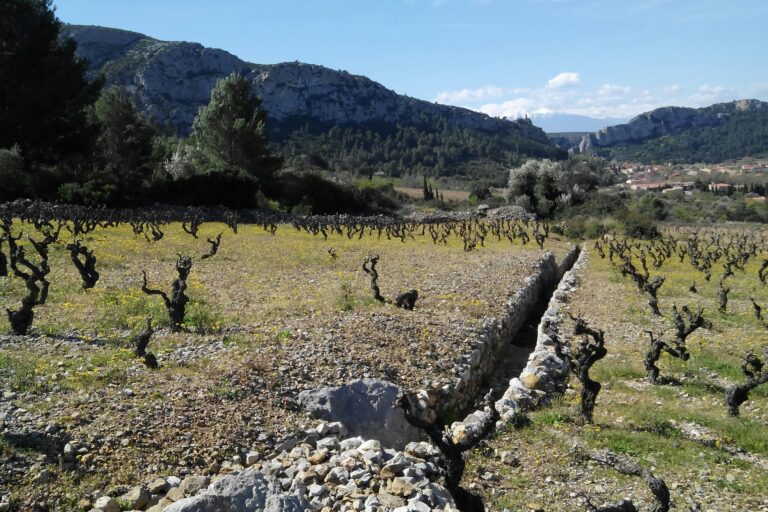 Camping Le Bois De Pins - Bild 10 Camping Le Bois De Pins - Bild 10