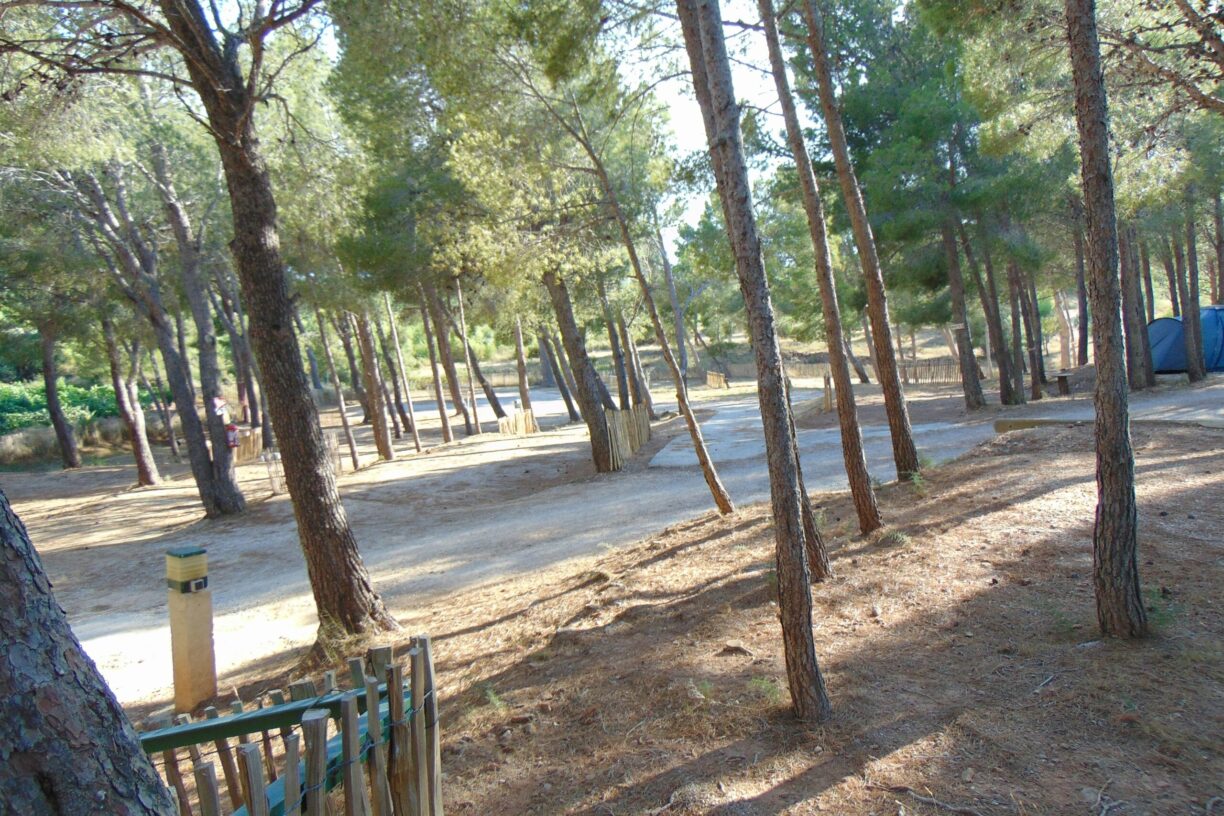 Camping Le Bois De Pins - Bild 6 Camping Le Bois De Pins - Bild 6