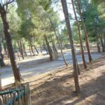 Camping Le Bois De Pins - Bild 6 Camping Le Bois De Pins - Bild 6
