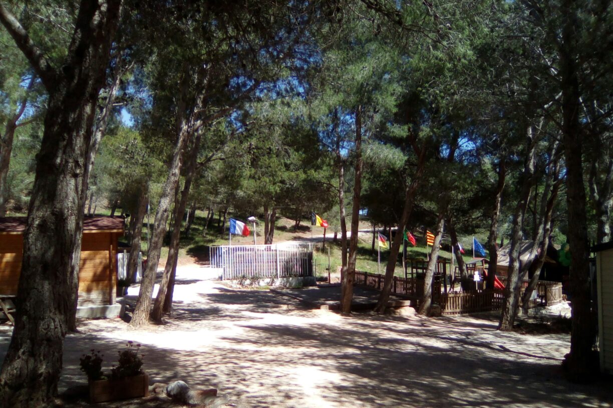 Camping Le Bois De Pins - Bild 7 Camping Le Bois De Pins - Bild 7