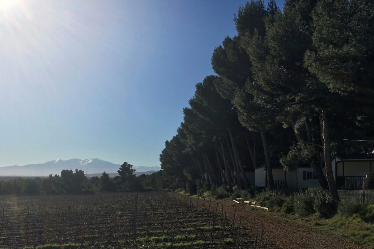 Camping Le Bois De Pins - Bild 8 Camping Le Bois De Pins - Bild 8