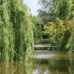 Camping Le Bois Joli - Bild 11 Camping Le Bois Joli - Bild 11