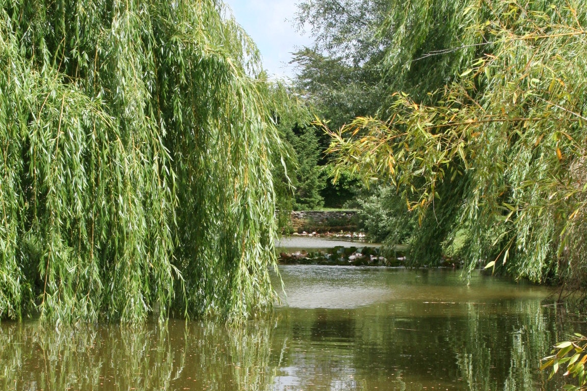 Camping Le Bois Joli - Bild 11 Camping Le Bois Joli - Bild 11