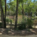 Camping Le Bois Verdon - Bild 15