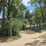 Camping Le Bois Verdon - Bild 16