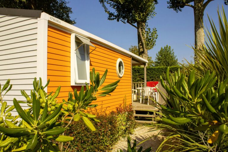 Camping Le Bois Verdon - Bild 4