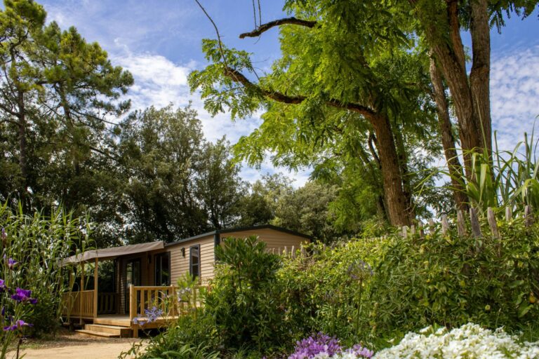 Camping Le Bois Verdon - Bild 1 Camping Le Bois Verdon - Bild 1