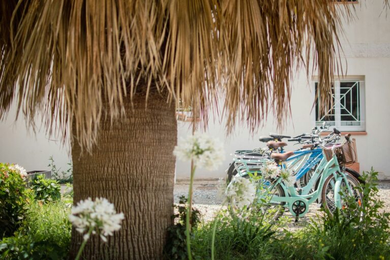 Camping Le Bon Port - Bild 15