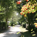 Camping Le Bosquet - Bild 13