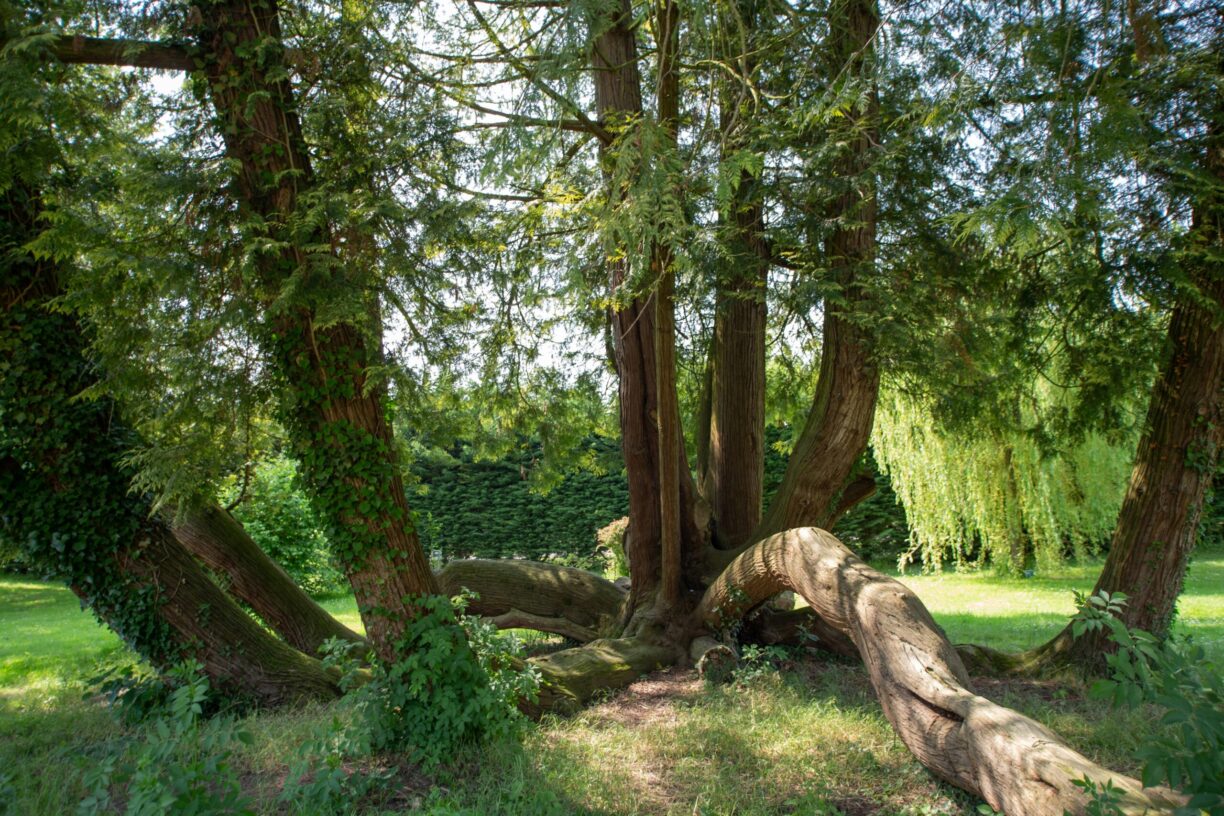 Camping Le Brévedent - Bild 11 Camping Le Brévedent - Bild 11