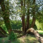 Camping Le Brévedent - Bild 11 Camping Le Brévedent - Bild 11